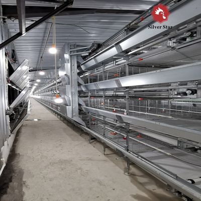 Automated H-Type Broiler Cage System - Full Automatic Hot Galvanized High-Density Poultry Farming Equipment