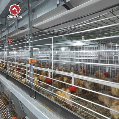 Automatic Poultry Broiler Chicken Cage Baby H Type Chick Cages