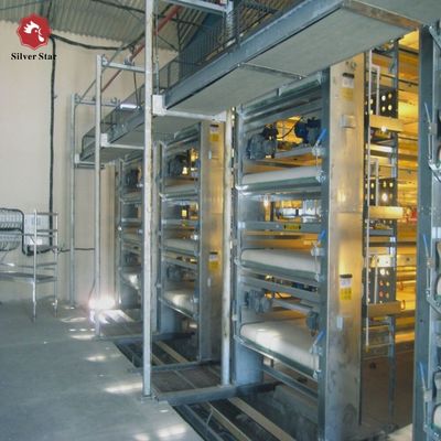 Hot-dip Galvanized Steel H Type Broiler Chicken Cage with Modular Automatic System and Adjustable Breeding Tiers