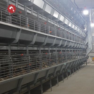 Automated H-Type Broiler Cage System - Full Automatic Hot Galvanized High-Density Poultry Farming Equipment