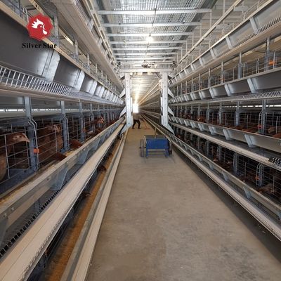 Multi-Tier H-Type Battery Cage System for Layer Hens Egg Production