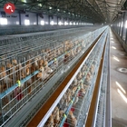 A Type Broiler Chicken Cage System Automatic Chick Breeding Cages 144 Birds