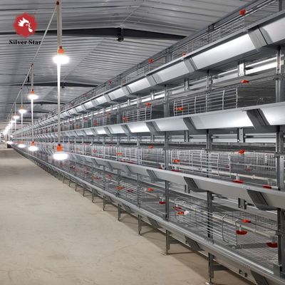 Automated H-Type Broiler Cage System with Hot-Dip Galvanizing for High-Density Farming & Automatic Manure Cleaning