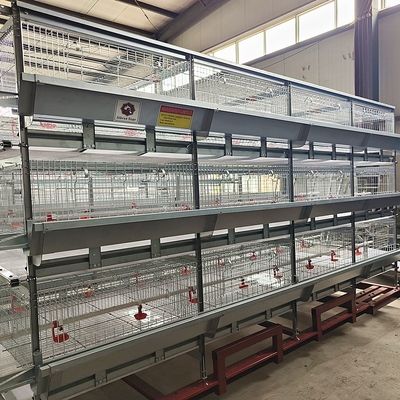 Automated H-Type Broiler Battery Cage System with Hot-Dip Galvanized Steel for High-Density Poultry Farming