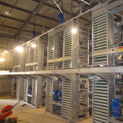 High-Efficiency H-Type Commercial Layer Chicken Cages with Automatic Climate Control