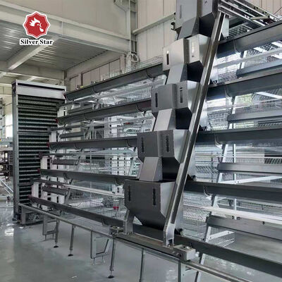 A-Type Layer Chicken Cage System | Commercial Laying Hen Cage for Poultry Farms