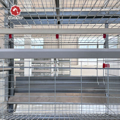 Battery Cage System for Layer Chickens Poultry Farming Equipment Supplier