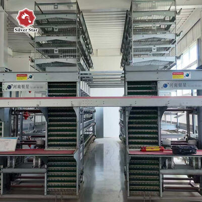 Hot Dip Galvanized Steel H-Type Layer Battery Cage System for Commercial-Scale Poultry Farms with High Capacity 20000+ Birds and Full Automation
