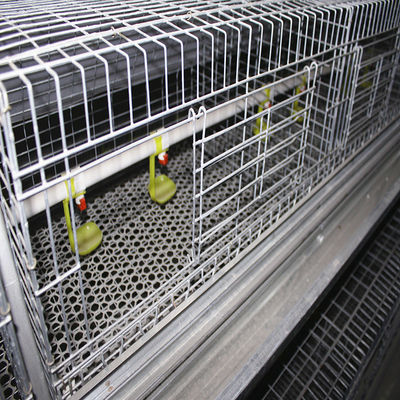 Hot Dip Galvanized Poultry Cages For Chicken Farms Baby Chickens
