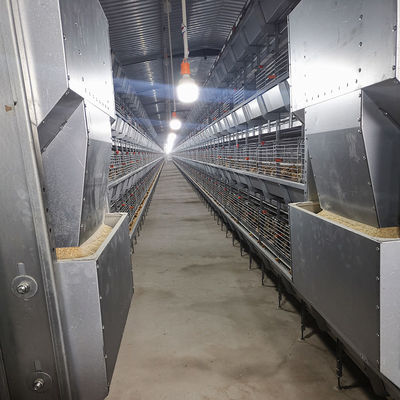 Q235 Battery Cages Laying Hens Chicken Farming Materials A Type