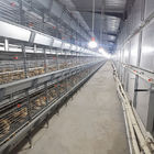 3-6mm Wire Battery Broiler Equipment SGS H Type Poultry Farm Cage