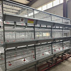 4 Doors q235 H Type Battery Broiler Equipment 3 Layers Poultry Shed