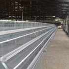 3 Tiers Hot Galvanized A Frame Chicken Cage 5000 Birds To 10,000 Birds