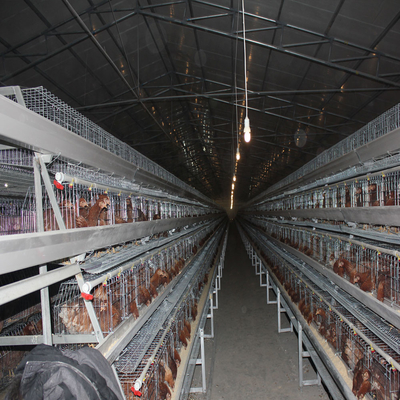 3 Tiers Chicken Battery Cage System A Type Galvanized