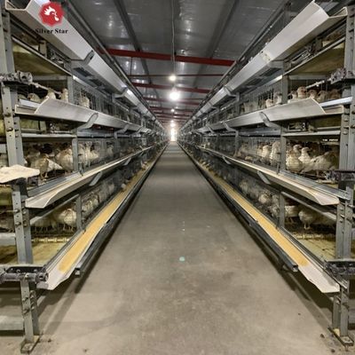 Automatyczny system klatki bateryjnej dla brojlerów typu H dla komercyjnych gospodarstw hodowlanych kurcząt z mięsem, z galwanizowaną ramą i konfiguracją 3-4 poziomów