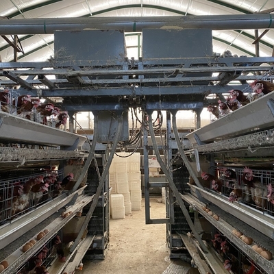 Drób H Typ 3 Poziom 4 Poziomy Klatka dla kur niosek Klatka dla kur niosek