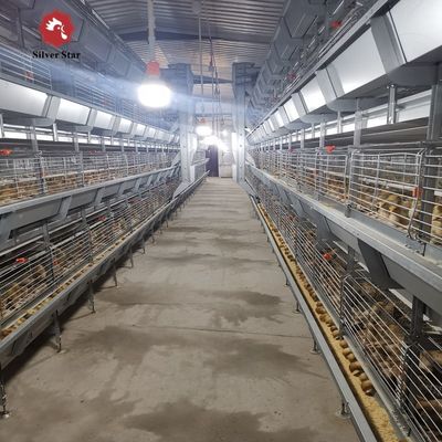 Automated H-Type Broiler Cage System - Full Automatic Hot Galvanized High-Density Poultry Farming Equipment