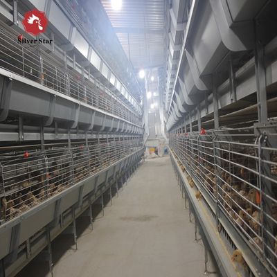 Nowoczesny zautomatyzowany system klatek dla brojlerów typu H. Wysokiej gęstości urządzenia do hodowli drobiu