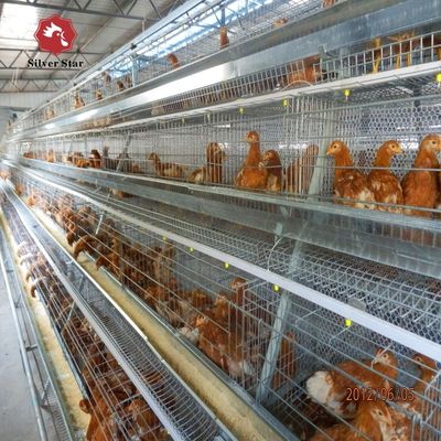 System klatki bateryjnej dla brojlerów typu A do hodowli drobiu