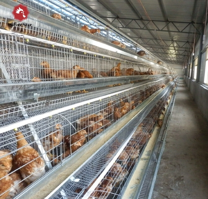 Long Time A Type Farm Chicken Battery Cages For Layers Double Cold Galvanized