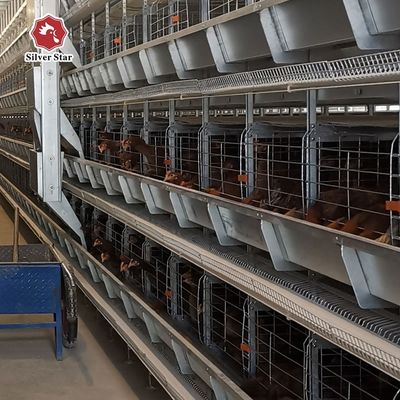 Automatyczny system klatek bateryjnych typu H dla komercyjnych ferm drobiu - ocynkowany ogniowo, zautomatyzowany zbiór jaj, żywotność 15-20 lat