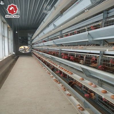 H Type Layer Cage System for Commercial Layer Farms | Automatic Chicken Layer Cage