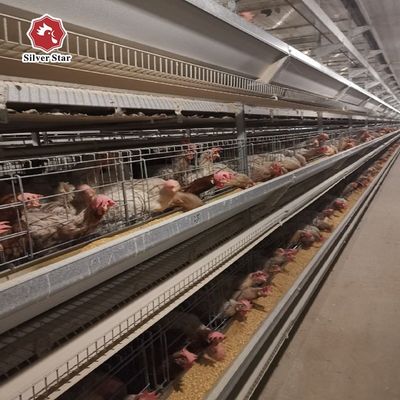 System klatki kurczaka typu H. Automatyczne urządzenia dla kurcząt dla komercyjnych gospodarstw z jajami.