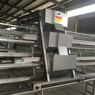 1950×2300×1500 Galvanized Automatic A Type Layer Cage Egg Chicken Poultry Farm Automatic Breeding System