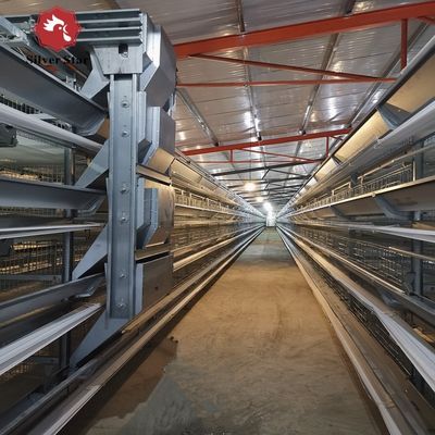 Klatki bateryjne warstwowe typu H klasy przemysłowej ze wsparciem inżynieryjnym za granicą