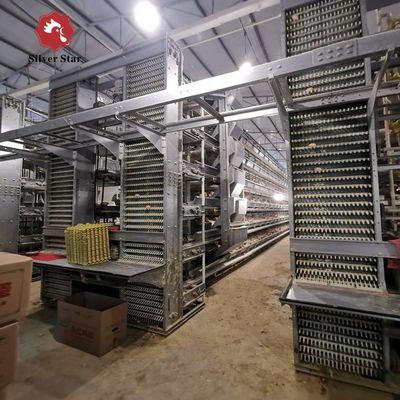 Automatyczny system klatek dla kurcząt broilerów typu H dla komercyjnych ferm mięsnych