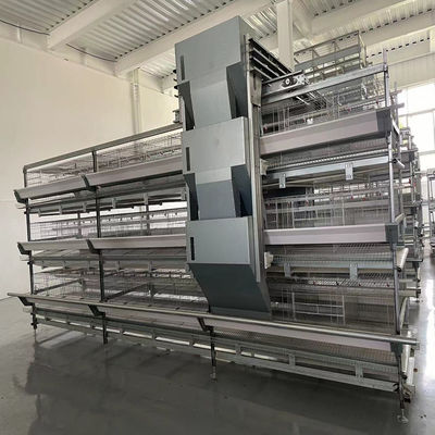1950×2300×1500 Galvanized Automatic A Type Layer Cage Egg Chicken Poultry Farm Automatic Breeding System