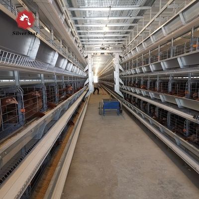H-Type Automatic Layer Battery Cage System.
