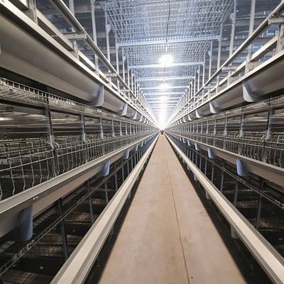 Cynkowana ogniowo klatka warstwowa typu H. Zautomatyzowana klatka dla drobiu o dużej wydajności z automatycznym podawaniem dla dużych ferm drobiu