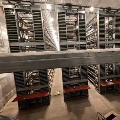 Ciężka klatka kurczaka z akumulatorami zaprojektowana w celu optymalizacji produkcji jaj i poprawy zdrowia drobiu w gospodarstwach handlowych