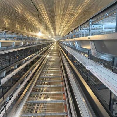 4 poziomy klatki kurczaka z podkładkami do karmienia, nadające się do intensywnej warstwa mieszkania kurczaków i usprawnionych operacji karmienia