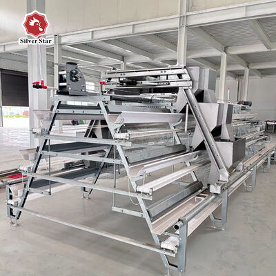A-Type Layer Chicken Cage System with 3-Tier / 4-Tier Design, Automatic Feeding & Egg Collection, Hot-Dip Galvanized Steel