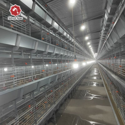 H Type New Design Broiler Battery Cage System For Chicken Farm