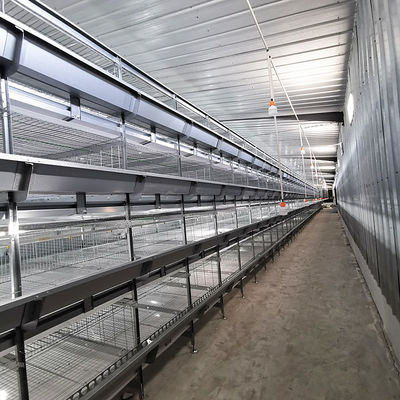 3-6mm Wire Battery Broiler Equipment SGS H Type Poultry Farm Cage