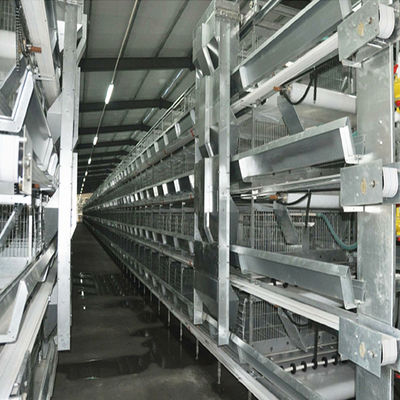 H-Type Automatic Battery Cage System z galwanizacją na gorąco i układem modułowym do komercyjnego hodowli drobiu