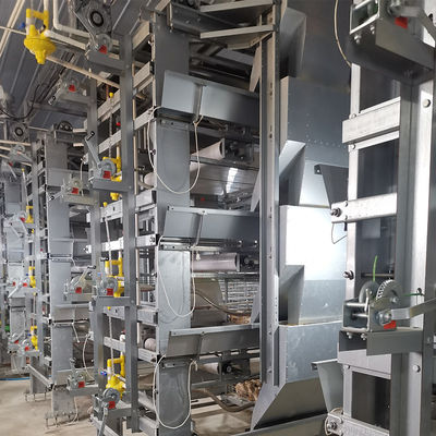 Hot Dip Galvanized Poultry Cages For Chicken Farms Baby Chickens