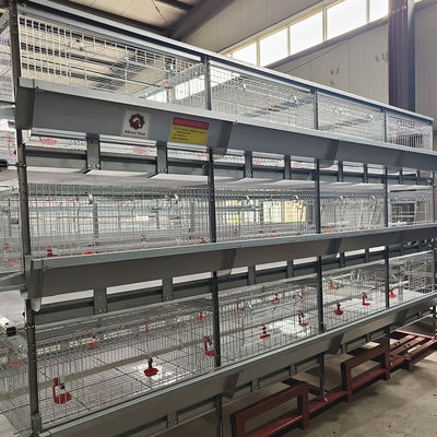 Poultry Farming 1-45 Days Broiler Equipment SGS Battery Cage System