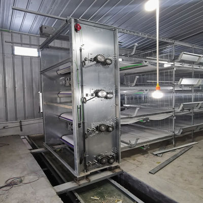 H-Type Battery Cage System z galwanizacją na gorąco, automatycznym dożylnikiem i układem modułowym dla gospodarstw komercyjnych