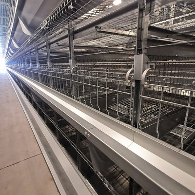Fabryczny system klatki z baterią dla brojlerów typu H z galwanizacją gorącą, miękkimi maczkami z plastiku i automatycznym czyszczeniem nawozu pasów PP