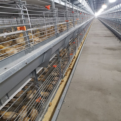 3-9 Floor Farm Battery Chicken Cage With Automatic System High Density