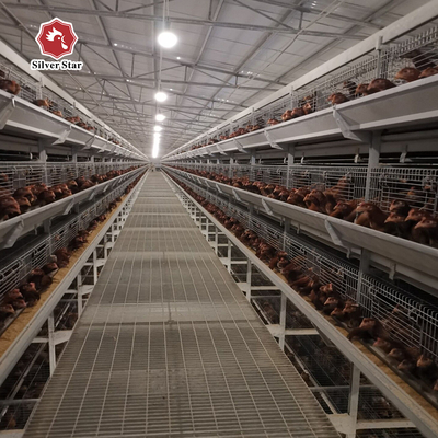 Long Time Use Hot Galvanized Broiler Chicken Cage 17 Chicks / Cell