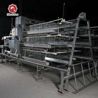 Automatic H-Type Baby Chick Brooding Cage System with Hot Dip Galvanizing and 100-300 Chickens/set Capacity