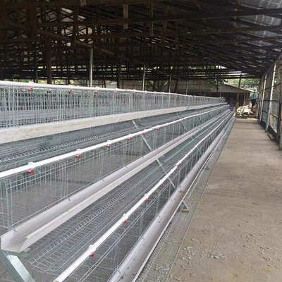 3 Tiers Hot Galvanized A Frame Chicken Cage 5000 Birds To 10,000 Birds