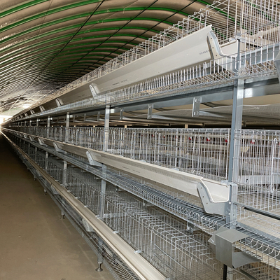 Layer Chicken Poultry Cage Cold Galvanized Steel Wire Mesh